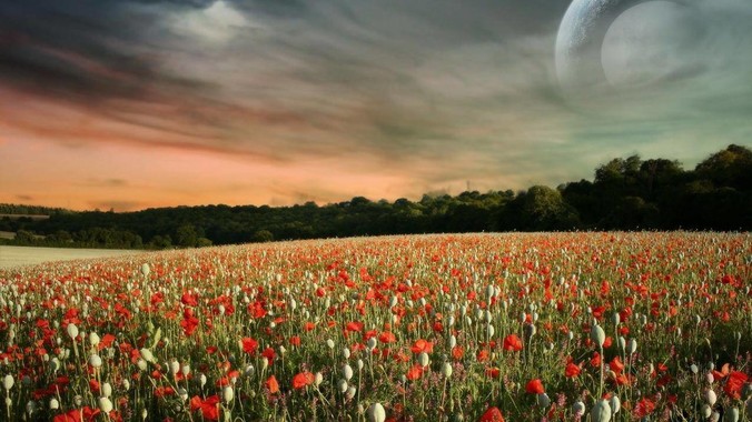 自己拥有一台服务器可以做哪些很酷的事情？